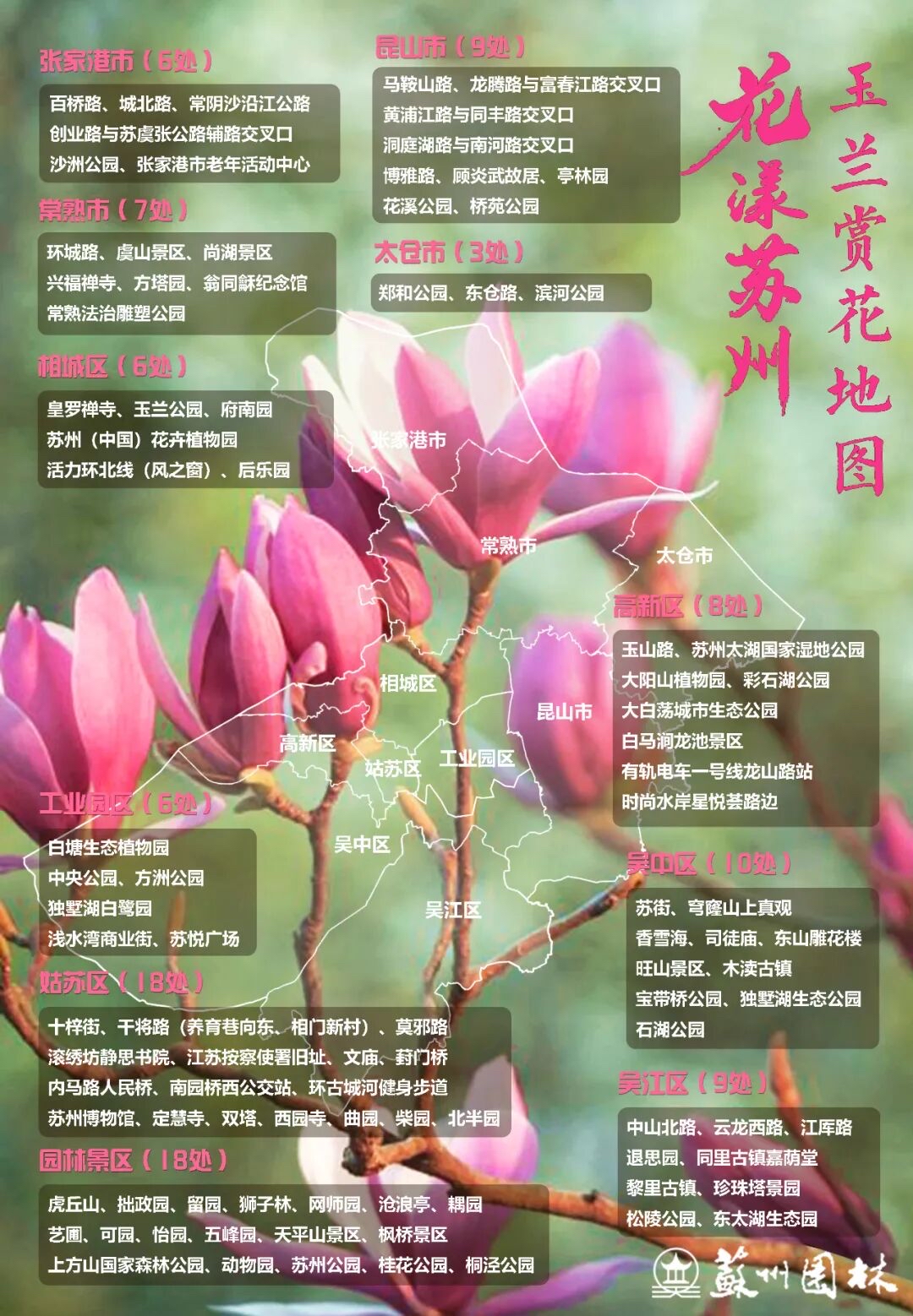 玉兰花开 这份观赏指南涵盖100处点位 - 苏州市人民政府