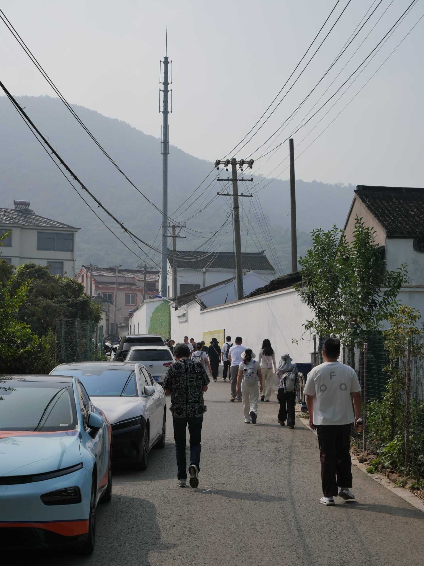 “桂花村”里人气旺。苏报融媒记者 徐靖怡/摄