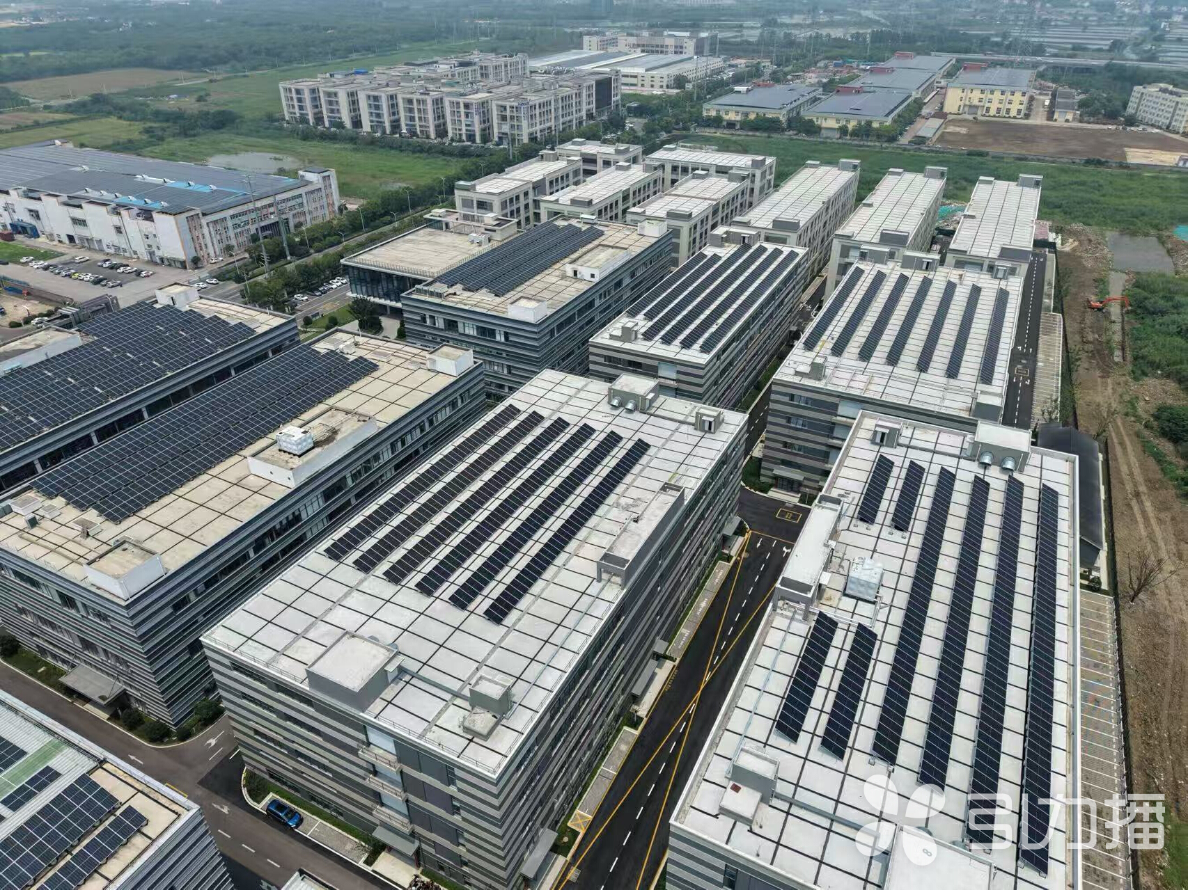 空中俯瞰。苏报融媒记者 陆宇其/摄