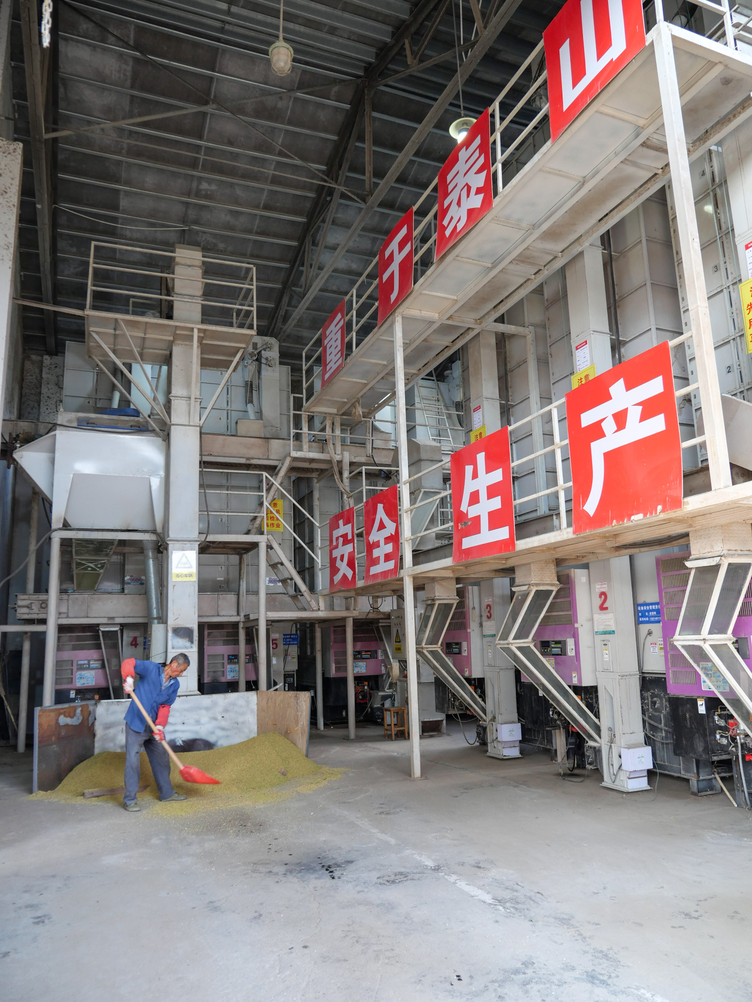 颗粒归仓。苏报融媒记者 徐靖怡/摄