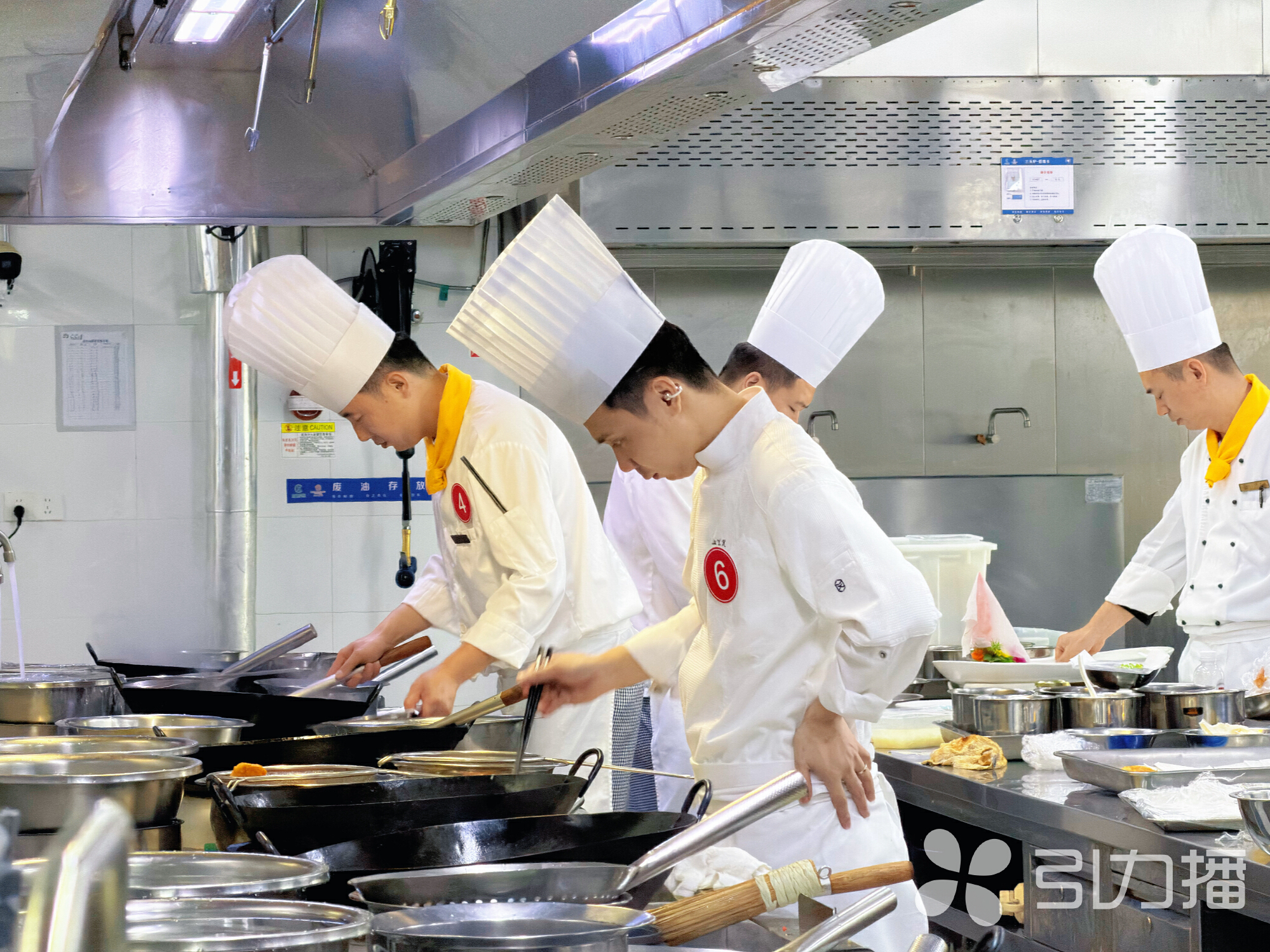 来自吴江19家酒店的37名厨师同台竞技。苏报融媒记者 董晓晓/摄