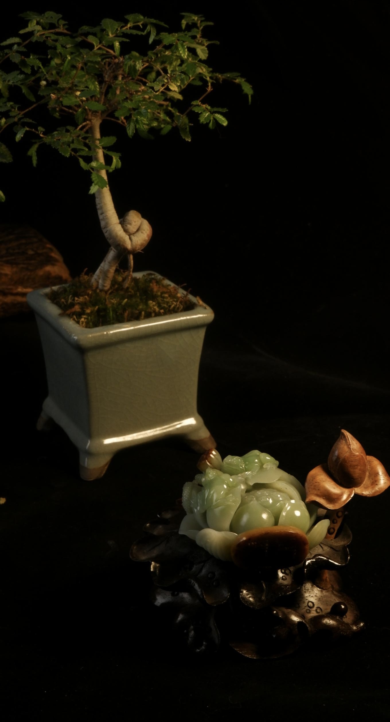 陆颖怡的作品荷花香插 受访者供图